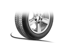 1-24 Fibers OM4 Multimode Industrial Armored TPU Fiber Optic Patch Cable-5