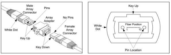 MPO 12 Fiber Cable 3