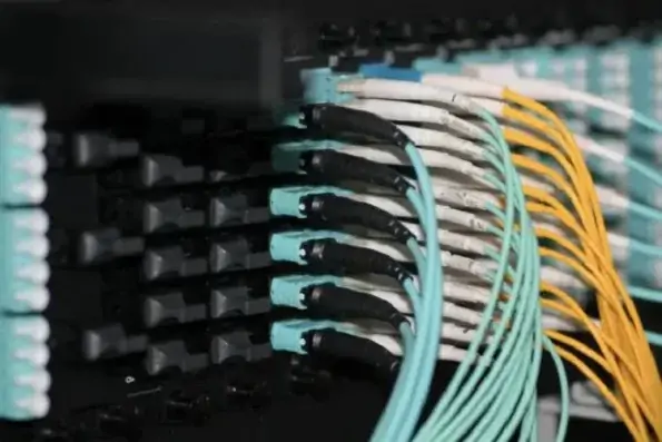MPO Fanout Cable 2