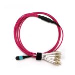 OM4-Multimode-MPO-12-Breakout-Cable-Magenta