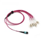 OM4-Multimode-MPO-12-Breakout-Cable-Magenta