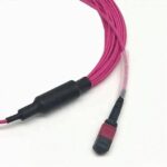 OM4-Multimode-MPO-24-Breakout-Cable-Magenta