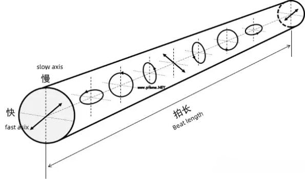 beat length of polarization maintaining fiber