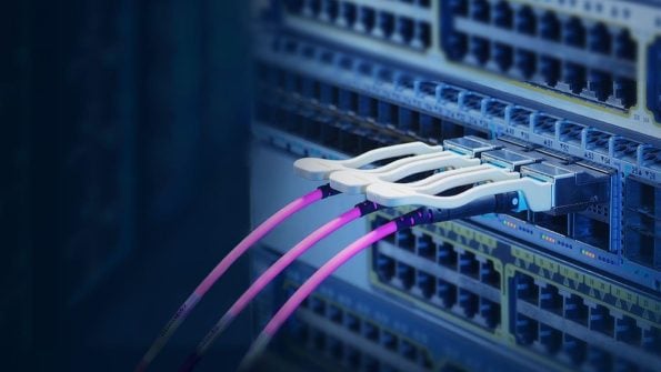 blog exploring 100g 200g 400g and 800g modules 1 1