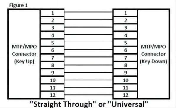blog mtp fiber decryption 3