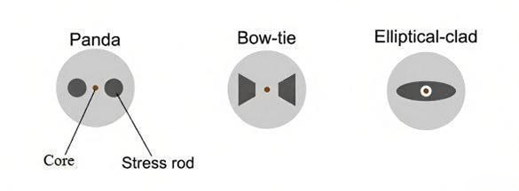commonly panda bow tie or elliptical cores