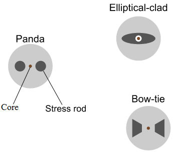 crosssectionofpolarizationmaintainingfiber thumb