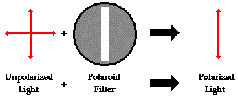 polarizationfilter thumb