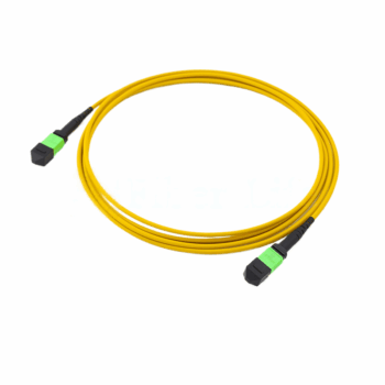 MPO Trunk Cables