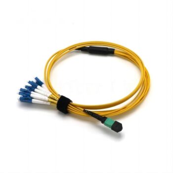 MTP Breakout Cables