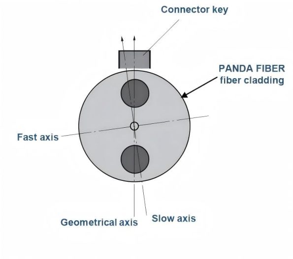 the fiber creates two distinct principal axes Slow Axis and Fast Axis 595x527 1